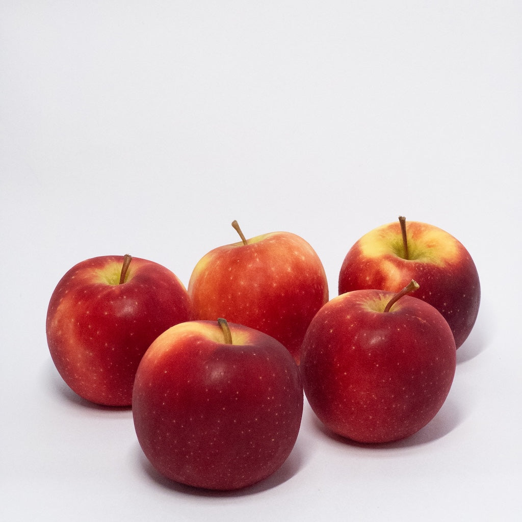 紐西蘭樂淇蘋果 Rockit Apple