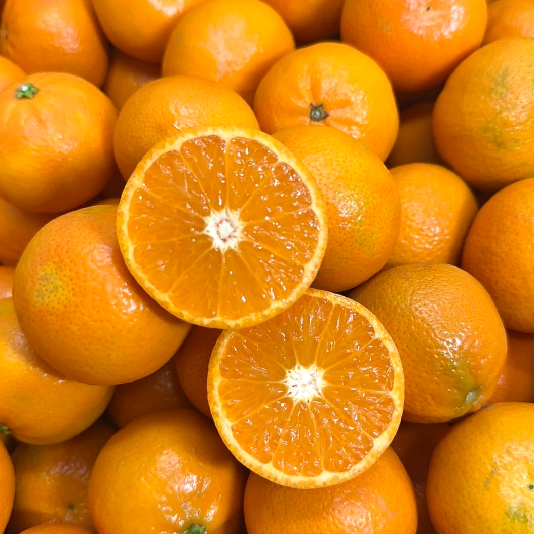 美國加州sunkist蜜柑