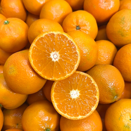 美國加州sunkist蜜柑