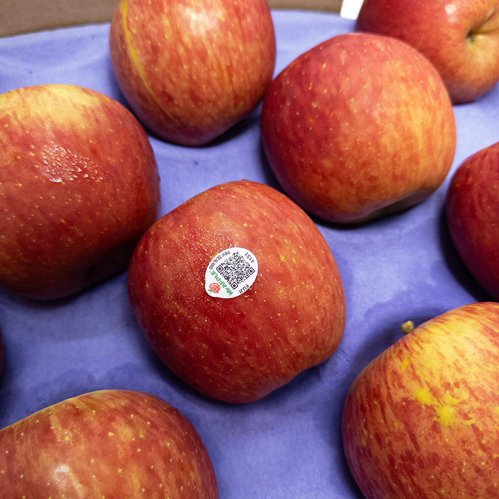 Mr. Apple 紐西蘭富士蘋果
