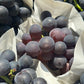 taiwan-grape02