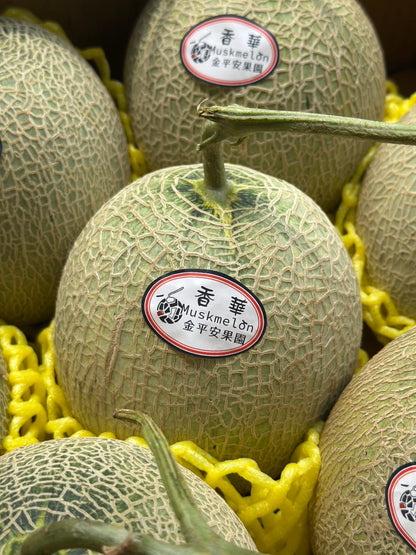 網室香華哈密瓜