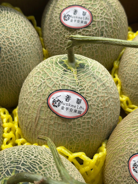 網室香華哈密瓜