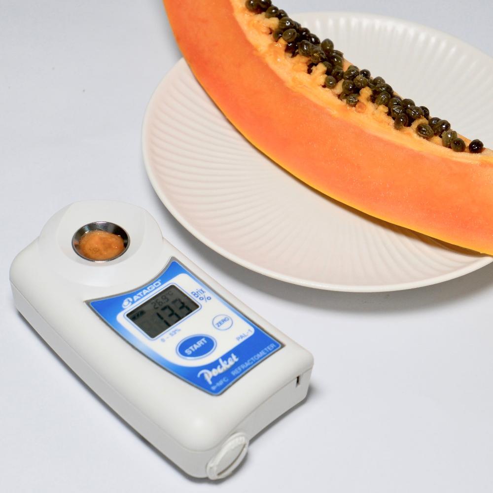 taiwan-papaya02