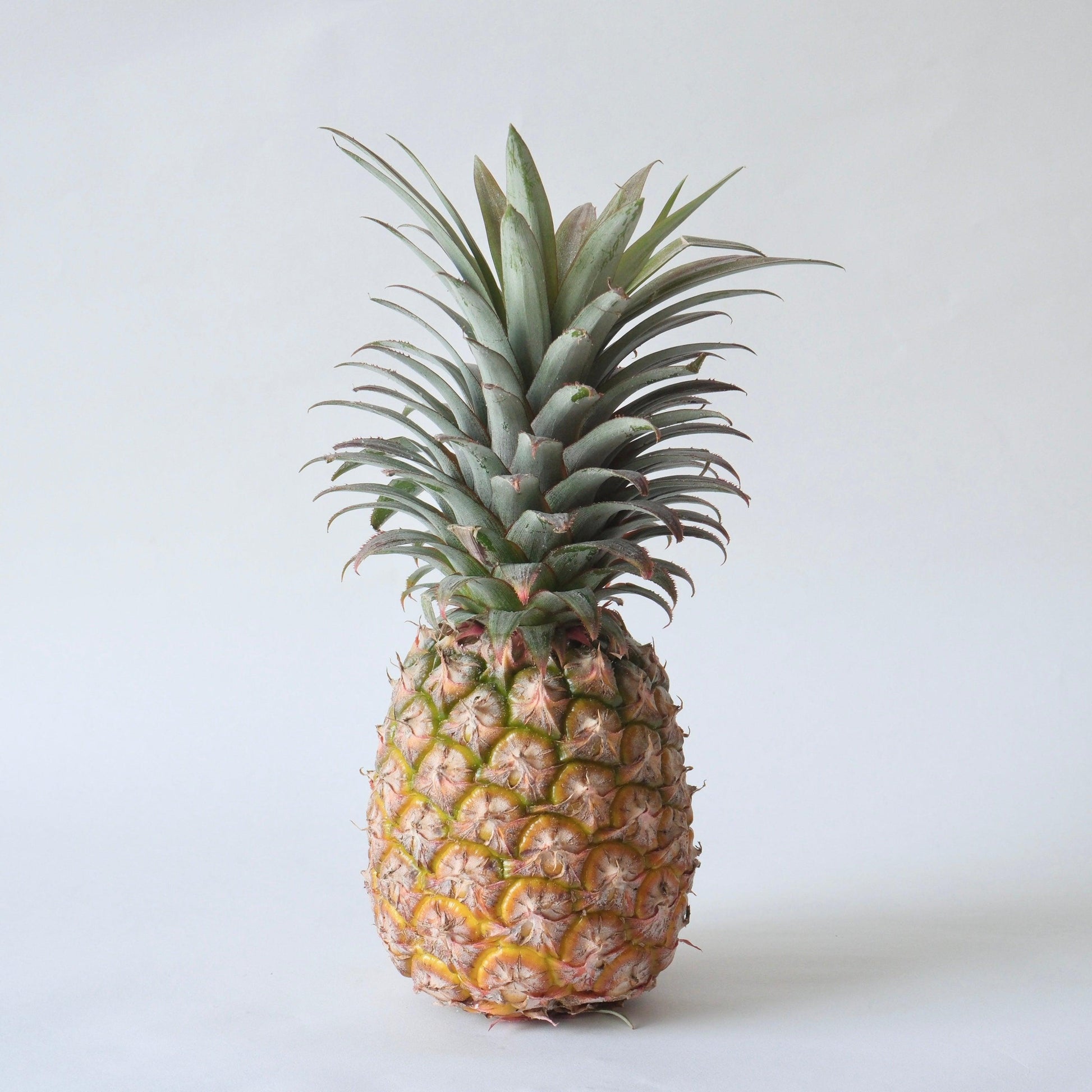 taiwan-pineapple02