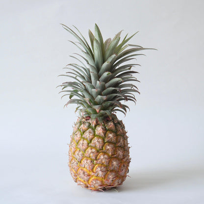taiwan-pineapple02