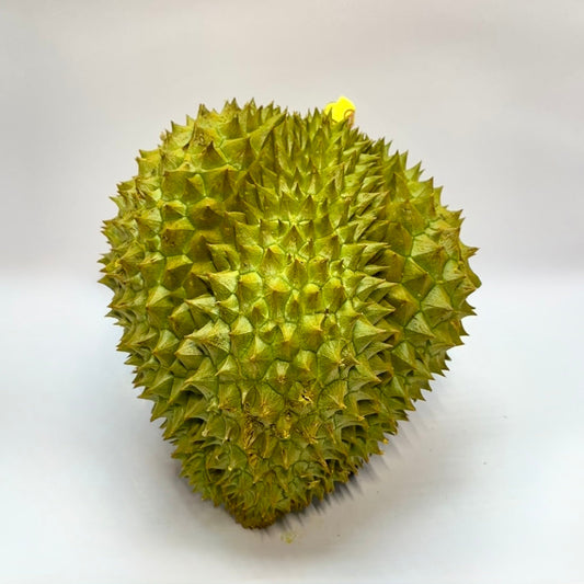 越南金枕頭榴槤A級
